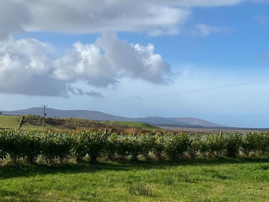 Country Cabin Mullagh  المظهر الخارجي الصورة